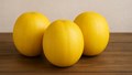Pusa Sarda: Premium Muskmelon for High Yields, Quality, and Long Shelf Life in Net House Farming