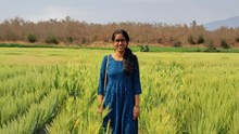 Bridging Farm-to-Market Gap: Women Agripreneur Boost Farmer Incomes by 40% Through Real-Time Price Updates, Market Insights, and Post-Harvest Services