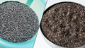Sabja Seeds vs. Chia Seeds: Understanding the Differences Between These Tiny Powerhouses