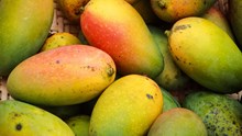 FSSAI Directs States to Crack Down on Illegal Fruit Ripening and Synthetic Coatings to Ensure Public Safety