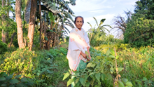 Assam Woman Builds Thriving 32-Bigha Integrated Farm with Fishery, Napier Grass, and Sericulture After Losing Teaching Job