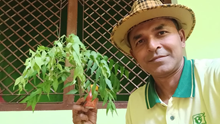 GFBN Story: From Setback to Success– How Jitendra Kumar Built a Rs 10 Lakh Organic Farming Business Using Forest Soil and Jeevamrut