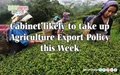 Cabinet likely to take up Agriculture Export Policy this Week