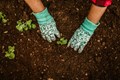 Urea Overuse Threatens Soils, Crop, and Human Health: Experts