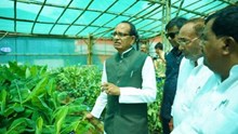 Shivraj Singh Chouhan Visits His Farm, Urges Farmers to Follow ICAR Guidance for High-Yield Paddy 