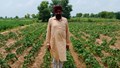 Haryana’s Sukhjeet Singh Turns 72 Acres into Rs 60 Lakh Organic Venture, Inspiring 600+ Farmers