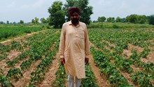GFBN Success Story: Haryana’s Sukhjeet Singh Turns 72 Acres into Rs 60 Lakh Organic Venture, Inspiring 600+ Farmers
