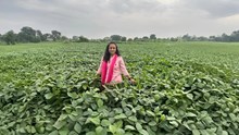 Rajasthan’s Visionary Woman Farmer Soniya Jain Earns Rs 1 Crore Annually Through Dairy, Herbal Farming, and Diversified Agribusiness