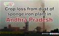 Crop loss from dust of sponge iron plant in Andhra Pradesh