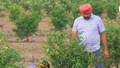 Haryana’s Sukhjeet Singh Turns 72 Acres into Rs 60 Lakh Organic Venture, Inspiring 600+ Farmers