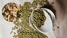 Centre Approves Moong Procurement in Haryana, UP, Gujarat and Groundnut in UP Under PSS for Summer 2025–26