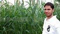 Yodha Plus Millet Transforms Rajasthan Farmer’s Life: A Success Story of Profit and Progress