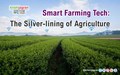 Smart Farming Tech: The Silver-lining of Agriculture