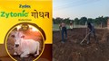 Zytonic Godhan: A Modern Solution for Profitable Organic Farming and Animal Husbandry