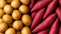Cabinet Approves International Potato Centre in Agra, Uttar Pradesh; Govt to Provide Rs 111.5 Crore to Raise Farmer Incomes, Yields