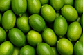 Kaji Nemu: A Comprehensive Guide for Farmers to Cultivate Assam’s GI-Tagged Fragrant Lemon