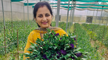 How Meena Chandel Transitioned from Teaching to a Thriving Floriculture Business- and Built a Rs 70 Lakh Empire