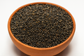 Jhakhiya: A Low-Cost, High-Return Native Spice Crop for Himalayan Farmers