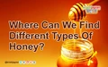 Where Can We Find Different Types Of Honey?