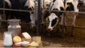 Global Food Prices Rise Slightly in June 2025 as Meat, Dairy, And Vegetable Oil Costs Climb: FAO