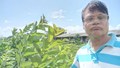 How Bibekananda Mishra is Thriving Financially with Timber, Orchards, and Exotic Vegetables Post-Retirement