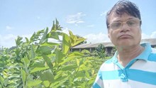 From Corporate Career to Agripreneurship: How Bibekananda Mishra is Thriving Financially with Timber, Orchards, and Exotic Vegetables Post-Retirement