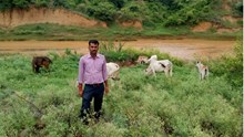 Natural Farming Drives This Mechanical Engineer-Turned-Farmer to Commute Between Mumbai and Rewa- Achieving 2 to 3 Times More Yield per Acre