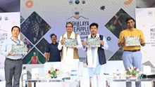 Meghalaya’s Pineapples Have Global Potential, Says Union Agriculture Minister at Delhi Festival