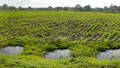 JalTara Under Construction - A Low-Cost, Scalable Solution for India's Groundwater Crisis