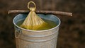 Beejamrit: A Low-Cost, Natural Solution for Healthier Seeds and Stronger Soil