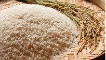 India Partners with World Food Programme to Supply Fortified Rice, Fight Global Hunger