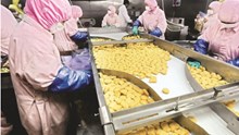 Next-Gen GST Reform 2025: Major Cuts on Processed Foods, Relief for Consumers and Boost to Food Processing Industry