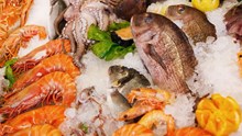 India’s Seafood Exports Get Boost; EU Approves 102 Fishery Establishments