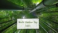 World Bamboo Day 2025: Celebrating the Power of Nature’s Fastest-Growing, Eco-Friendly Wonder
