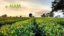 e-NAM Platform Expanded: 9 New Commodities Added to Boost Farmers Market Access