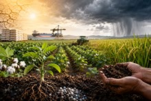 Kharif 2026: A Risk-Management Imperative for Indian Agribusiness