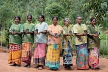 Cauvery Calling: 13.4 Crores Trees Planted, Targets 1.2 Crore in 2026-27
