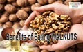 Benefits of Eating WALNUTS