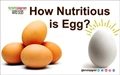 How Nutritious is Egg?