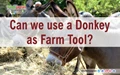 Can we use a Donkey as Farm Tool?