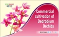 Commercial Cultivation of Dendrobium Orchids