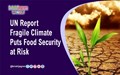 UN Report: Fragile Climate Puts Food Security at Risk
