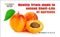 Quality Trials made to extend Shelf-Life of Apricots