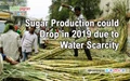 Sugar Production could Drop in 2019 due to Water Scarcity