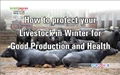 How to protect your Livestock in Winter for Good Production and Health?