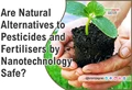 Are Natural Alternatives to Pesticides and Fertilisers by Nanotechnology Safe?