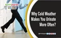 Why Cold Weather Makes You Urinate More Often?