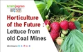 Horticulture of the Future: Lettuce from old Coal Mines