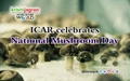 ICAR celebrates National Mushroom Day
