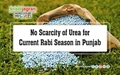 No Scarcity of Urea for Current Rabi Season in Punjab